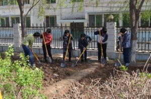 实训中心参加校园植树活动