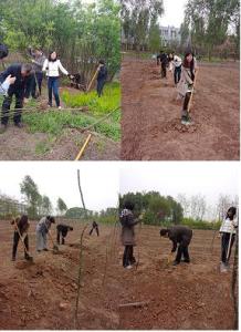 实训中心参加义务植树活动