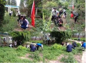 实训中心学雷锋志愿服务队到标本园参加义务除草活动